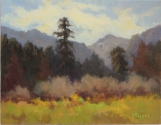 Hidden Meadow