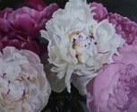 Peonies
