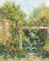 John's Garden