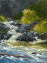 Eleven Mile Canyon