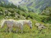 Spring Grasses
