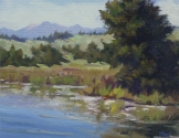 Henry's Fork