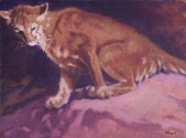 A Watchful Eye
